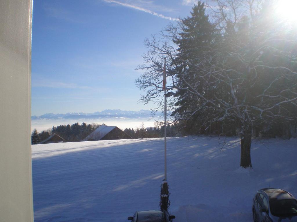 Guggibad Gasthof & Grill Muri  Room photo